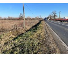 Teren intravilan, Săcădat, 27 921 mp. 9,5 Euro/mp. Comision 0. - Imagine 7