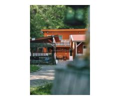 Charming Home By Feleacu, 1582 mp teren. Se accepta schimburi. - Imagine 8