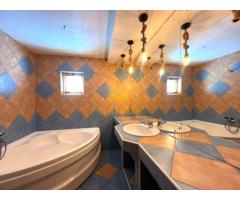 3 camere, Plopilor,Parcul Rozelor, Hatieganu,Calvaria,PET Friendly - Imagine 6