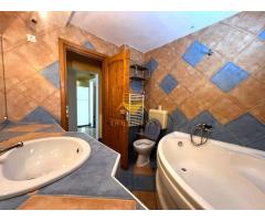 3 camere, Plopilor,Parcul Rozelor, Hatieganu,Calvaria,PET Friendly - Imagine 7