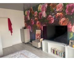 Vila tip  duplex Otopeni- 23 August. - Imagine 5
