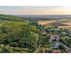 Teren în Miniș, pe deal, 1.150 mp, front 26 m, Drumul Vinului