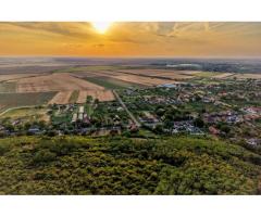 Teren în Miniș, pe deal, 1.150 mp, front 26 m, Drumul Vinului - Imagine 2