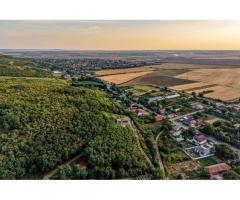 Teren în Miniș, pe deal, 1.150 mp, front 26 m, Drumul Vinului - Imagine 3