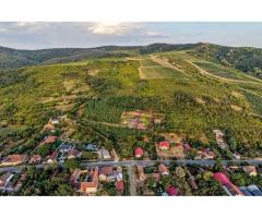 Teren în Miniș, pe deal, 1.150 mp, front 26 m, Drumul Vinului - Imagine 4