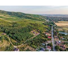 Teren în Miniș, pe deal, 1.150 mp, front 26 m, Drumul Vinului - Imagine 5