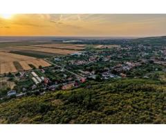 Teren în Miniș, pe deal, 1.150 mp, front 26 m, Drumul Vinului - Imagine 10