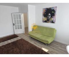 1 camera, Manastur, USAMV, BIG, zona Kaufland, Platinia, Premium - Imagine 3