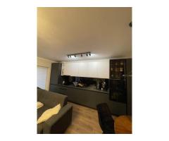 Apartament  2 camere I Terasa 12mp I Floresti - Imagine 4