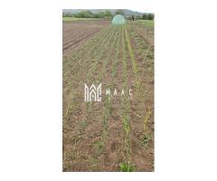 Teren intravilan de vânzare | Râmnicu Vâlcea | 2.800 mp - Imagine 2