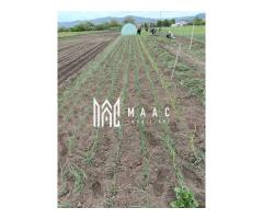 Teren intravilan de vânzare | Râmnicu Vâlcea | 2.800 mp - Imagine 4
