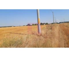 Teren pentru casă/case în Brănești pe strada Toporași - Imagine 8