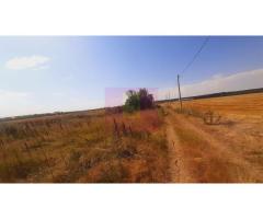Teren pentru casă/case în Brănești pe strada Toporași - Imagine 12