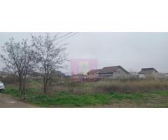 Săbăreni, teren intravilan 3767 mp, cu utilităti - Imagine 4