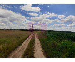 Teren 715mp în Snagov lângă Equestria