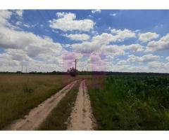 Teren 715mp în Snagov lângă Equestria - Imagine 3