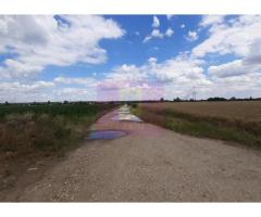 Teren 715mp în Snagov lângă Equestria - Imagine 6