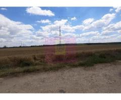 Teren 715mp în Snagov lângă Equestria - Imagine 8