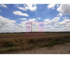 Teren 715mp în Snagov lângă Equestria - Imagine 10