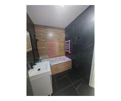 Apartament 3camere in Astorium- piscina privata, Theodor Pallady - Imagine 10