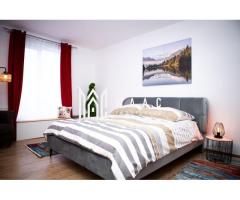 Apartament 3 camere | Curte | Modern | Renovat | Central - Imagine 3
