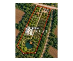 Teren 5800MPU I Acces drum I Ideal Construcție I Zona retrasă I Cabana