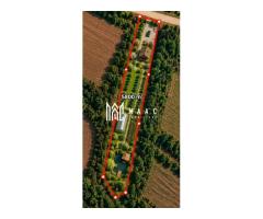 Teren 5800MPU I Arabil I Ideal Cabana I Construcții I Acces drumuri I Daia