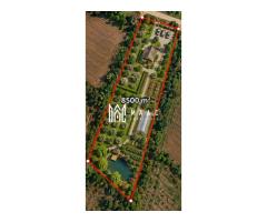 Teren 8500MPU I Ideal Cabana I Construcții I Acces 2 drumuri