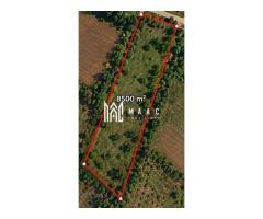 Teren 8500MPU I Ideal Cabana I Construcții I Acces 2 drumuri - Imagine 2