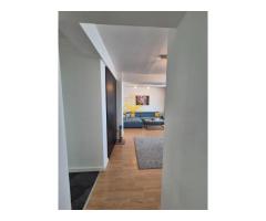 2 camere, 117mpu, Observatorului, Sigma, Zorilor,Pet Friendly,UTCN - Imagine 12