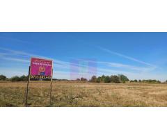 Teren intravilan 4500 mp, stradal intre Sabareni si Joita - Imagine 4