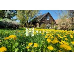 Casă 5 camere de vânzare | Bazna | 3 CF | 7.500 mp teren - Imagine 5
