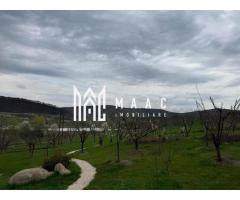 Casă 5 camere de vânzare | Bazna | 3 CF | 7.500 mp teren - Imagine 6