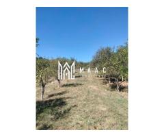 Teren intravilan de vânzare | Tepșenari, Milcoiu | 2200 mp - Imagine 2