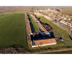 PREȚ REDUS! Ferma de 1.15 HA lângă accesul pe Autostrada  A1– Nădlac - Imagine 3