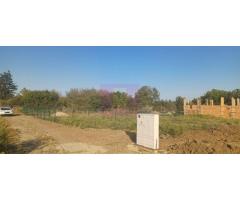 Săbăreni, lot de casă 1050 mp, curent lângă teren