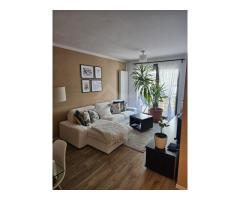 Ofer spre inchiriere apartament cu 2 camere in complexul rezidential Acta Colors
