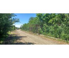 Săbăreni, lot de casă 1050 mp, curent lângă teren - Imagine 4