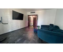 Tineretului , Unirii , Mihai Bravu, Asmita Gardens,  2 camere - Imagine 12