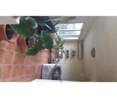 Casă individala cu etaj, având 2 apartamente separate în Timișoara