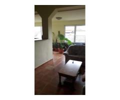 Casă individala cu etaj, având 2 apartamente separate în Timișoara - Imagine 4