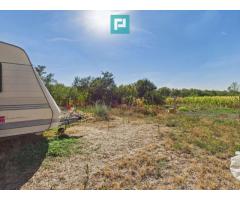 Casa si teren de vanzare in Bicaci - 2350mp - Imagine 3