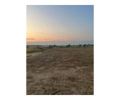 Teren de vanzare-2 loturi 1000 si 1019mp - Imagine 4