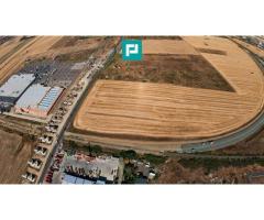 Teren cu potențial imens de 9550 mp, Micalaca - Imagine 2
