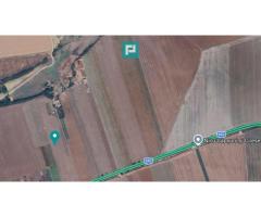Teren de 10.000 mp, cu potențial uriaș, Zădăreni - Imagine 2