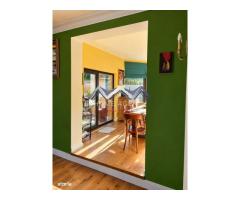 Casa P+1+M 4 camere | 180mp | Pet friendly - Imagine 5
