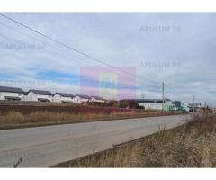 Teren 3.500 mp intravilan construibil pe DJ 602, în Săbăreni - Imagine 3