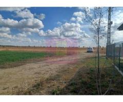 Gulia, teren intravilan curti-constructii, 516 mp, utilități aproape - Imagine 3