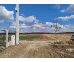 Gulia, teren intravilan curti-constructii, 516 mp, utilități aproape - Imagine 4