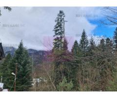 Vilă de vânzare in Sinaia - Zona Cumpătu - Imagine 8